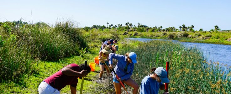 the-tampa-bay-estuary-program-CxL29J-aM5E-unsplash